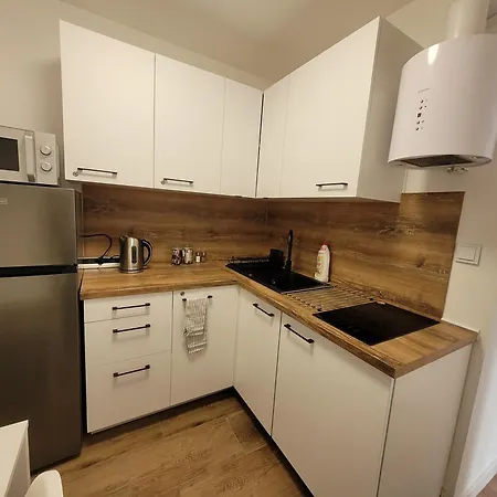Zlote Apartment *